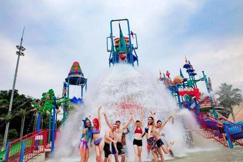 吃瓜主题乐园,吃瓜主题乐园畅游指南