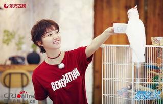 王源吃瓜路过,路遇娱乐圈大事件