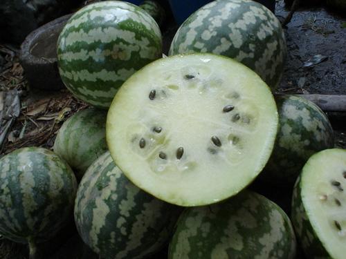 崇明浜瓜怎么吃,解锁美味新体验