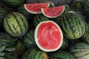 吃瓜的钱,揭秘吃瓜背后的经济秘密