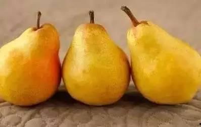 吃瓜小蜜蜜,揭秘娱乐圈那些不为人知的幕后故事