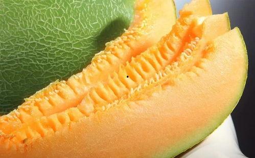 吃哈密瓜麻,舌尖上的甜蜜诱惑