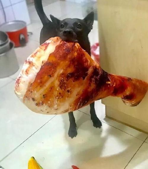 叼着鸡腿吃瓜,品味生活百态