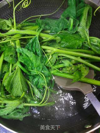 小瓜尖怎么吃,小瓜尖的多样食法探索