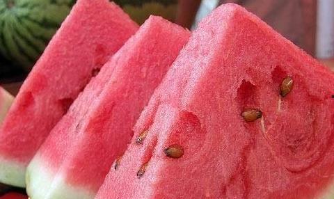 吃瓜皮还是吃瓜瓤瓜,揭秘瓜类美食的奥秘