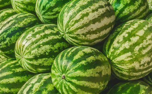 吃瓜大白马,娱乐圈的神秘“瓜王”