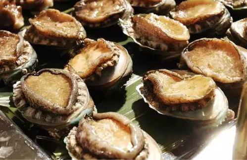 吃瓜视频黑鲍鱼,奢华美食背后的真相