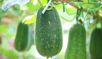 8月3日吃瓜,吃瓜群众见证的娱乐圈风云变幻