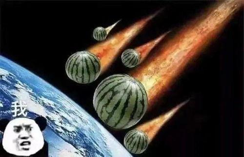 有关吃瓜暗号的文案,网络社交新潮流