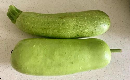 立秋后吃啥瓜,瓜果飘香——探寻立秋后必尝的时令瓜果