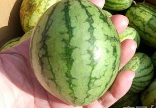 大家吃瓜的样子,全民吃瓜狂欢记