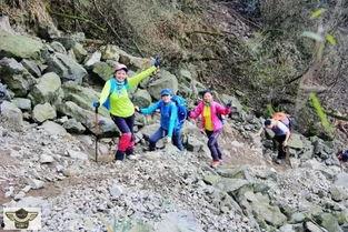 成都徒步吃瓜事件,街头奇观引发全民热议