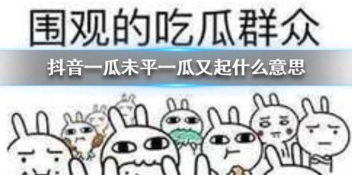 余音抖音吃瓜,揭秘网红背后的故事