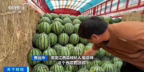 硼砂吃瓜,揭秘硼砂在瓜果保鲜中的应用