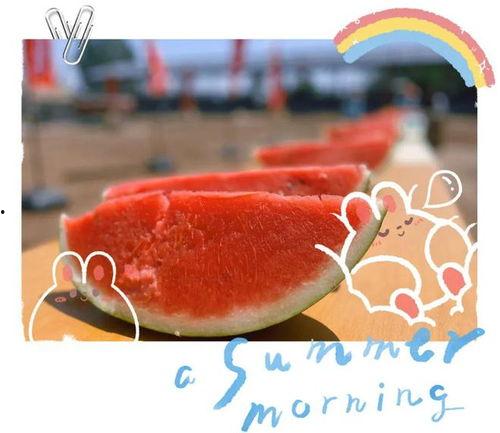 大型吃瓜视频播放,揭秘大型吃瓜视频的火爆背后