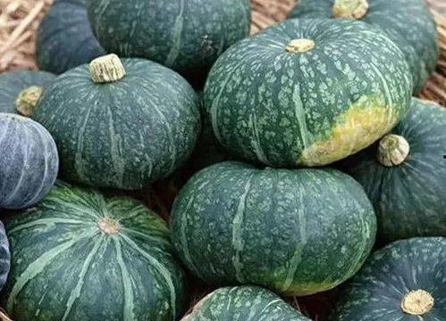 栗瓜怎么吃,从家常到创意料理