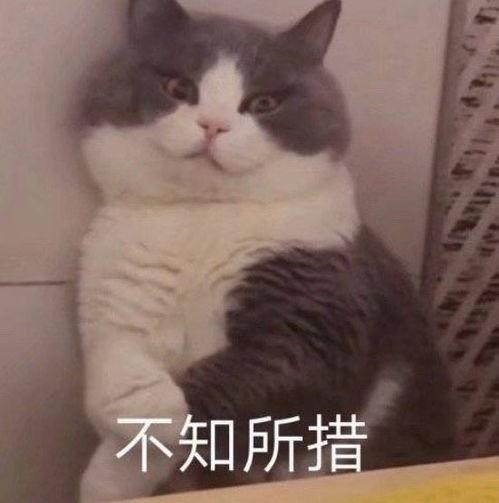 吃瓜戴口罩表情,揭秘网络表情背后的文化现象