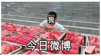 吃瓜前线4,揭秘娱乐圈幕后风云