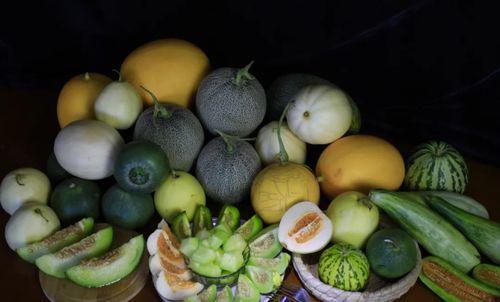 吃瓜馆,品味人间烟火，畅谈世间百态