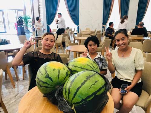 龙口同城吃瓜事件,揭秘网络舆论的风暴与真相