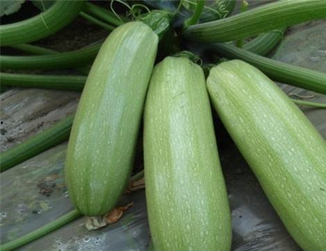 郎西吃瓜,揭秘娱乐圈背后的那些事儿