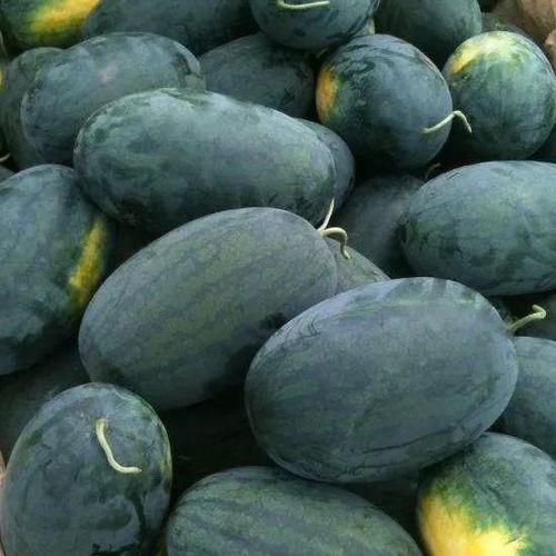 黑皮角瓜怎么吃,解锁美味新体验