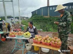 路边吃瓜摊主怎么赚钱,揭秘路边摊主的财富密码