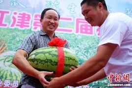 江津学校吃瓜,揭秘校园食品安全风波