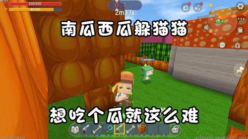 迷你世界瓜怎么吃,轻松解锁瓜类美食之旅