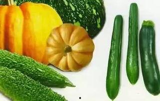 吃瓜飞毛腿,揭秘娱乐圈的“速度与激情”