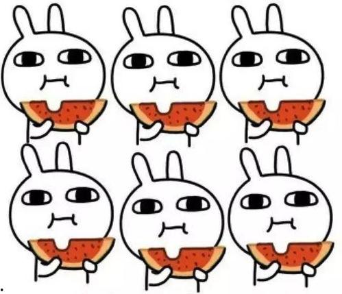 坐等吃瓜乖巧,乖巧生活指南