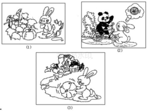 瓜地里吃瓜的看图写话,看图描绘夏日吃瓜场景