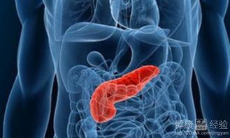 博洋瓜胰腺癌可以吃吗,适宜与否揭秘