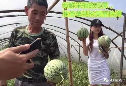 吃瓜直播吃鸡脚,趣味吃鸡脚，带你领略网络直播新风尚