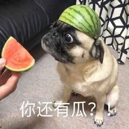 空乘吃瓜,揭秘空乘的“吃瓜”日常