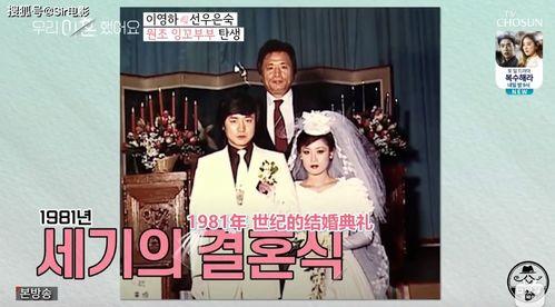 《综艺酒店吃瓜》小说,娱乐圈背后的秘密大揭秘