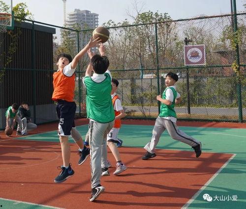 吃瓜拦网