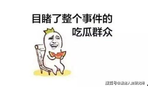 天天坐等吃瓜