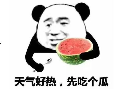吃瓜表情包尴尬,表情包里的社交智慧