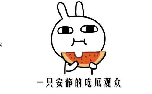 热门事件吃瓜正常,吃瓜群众如何成为舆论焦点