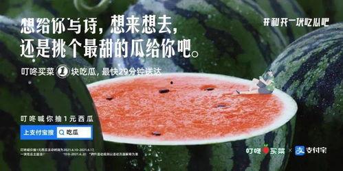内涵吃瓜的人的文案,揭秘“吃瓜群众”背后的内涵与现象